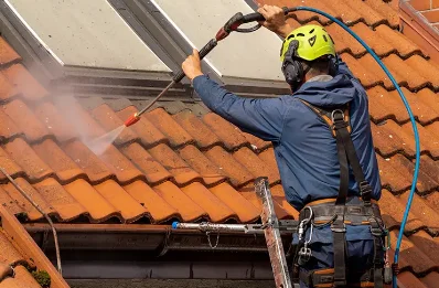 Démoussage et hydrofuge de toiture à Saint-Alban-des-Villards